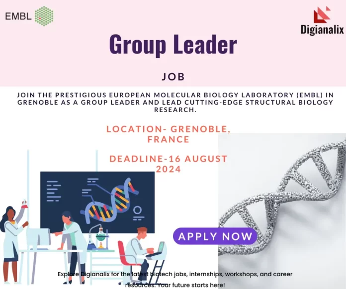 Poster for Group Leader Position at EMBL Grenoble. Apply Now.