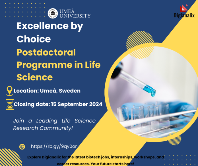 Poster for Excellence by Choice Postdoctoral Programme in Life Science at Umeå University, Apply by 15 Sep 2024