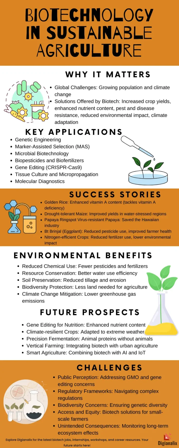 Infographic showcasing the role of biotechnology in sustainable agriculture, highlighting key applications, success stories, environmental benefits, future prospects, and challenges.