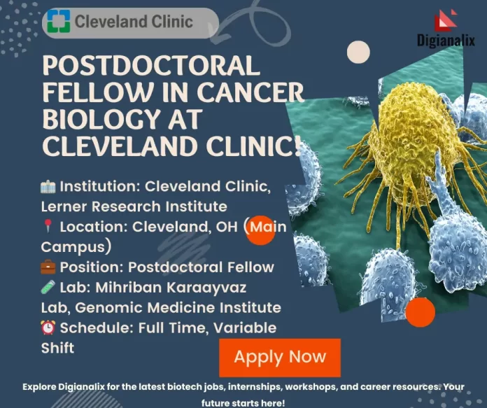 Postdoctoral Fellow in Cancer Biology at Cleveland Clinic Poster