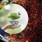 Influential Impact of Micro Plastic Distribution in the Environment. Environmental Sciences and Ecology